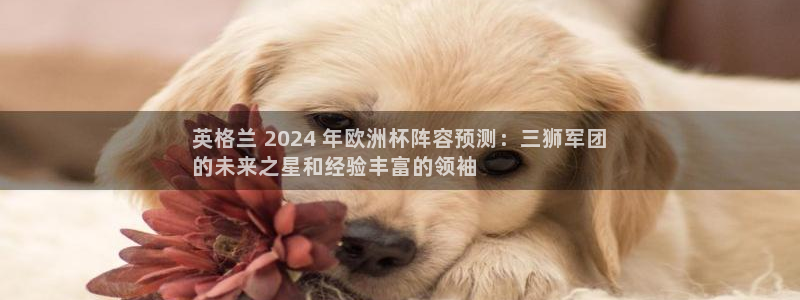 2024欧洲杯竞猜网址