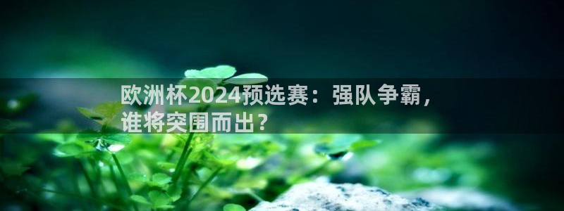 2024欧洲杯买竞猜|欧洲杯2024预选赛：强队争霸，
谁将突围而出？