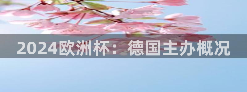 欧洲杯决赛彩票网上购买|2024欧洲杯：德国主办概况