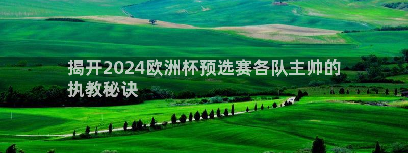 欧洲杯投注官方网站|揭开2024欧洲杯预选赛各队主帅的
执教秘诀