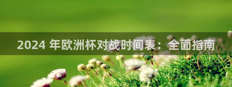 欧洲杯押注|2024 年欧洲杯对战时间表：全面指南