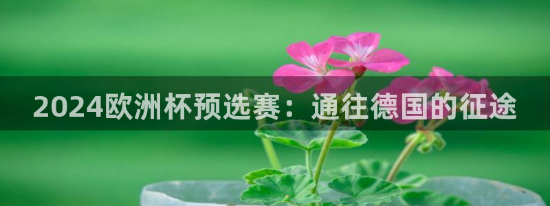 欧洲杯下单网址|2024欧洲杯预选赛：通往德国的征途