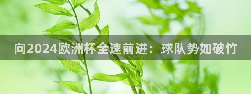 欧洲杯下单平台官网|向2024欧洲杯全速前进：球队势如破竹